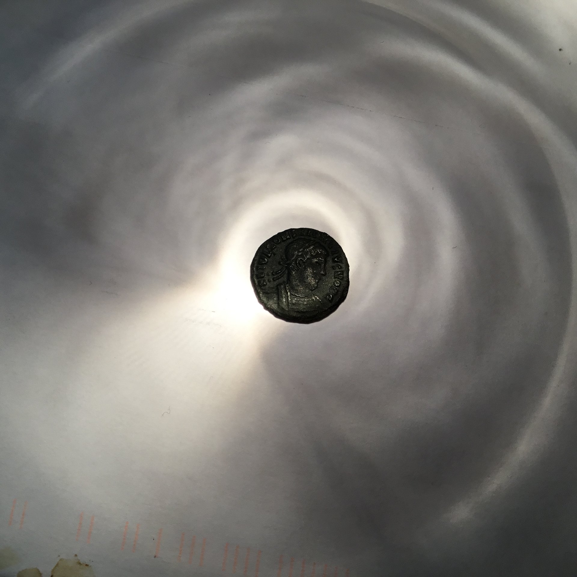 image.jpeg