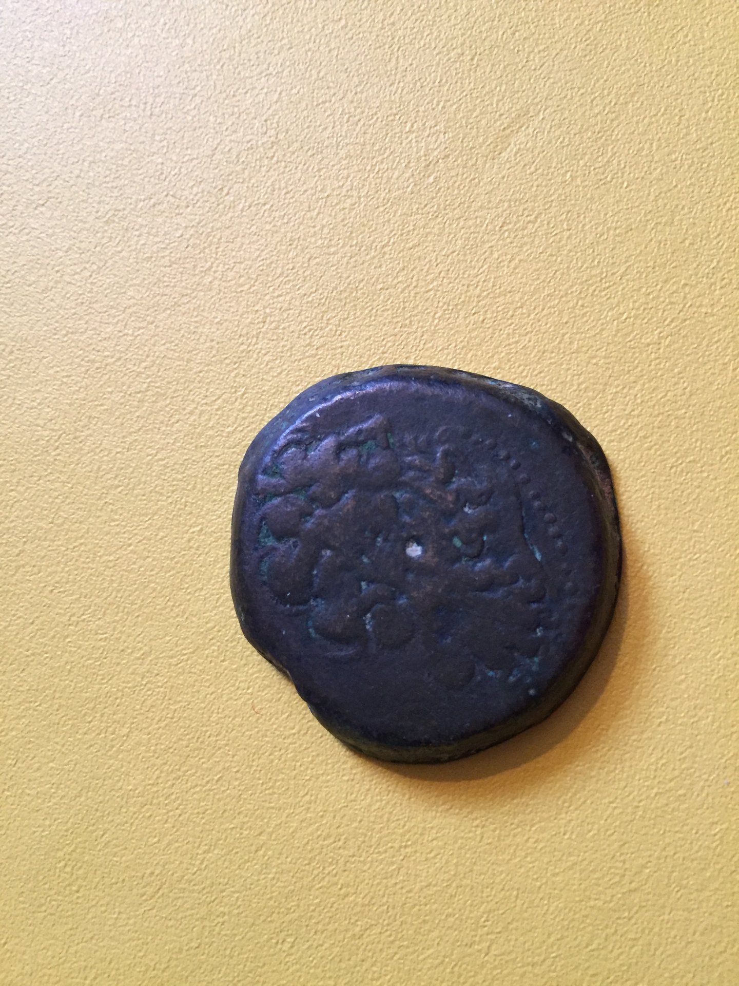 image.jpeg