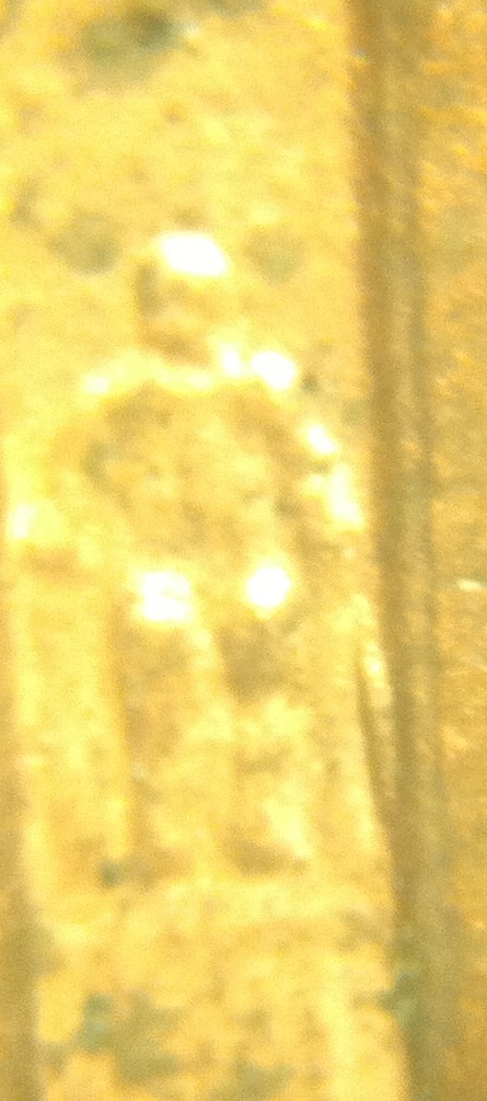 image.jpg