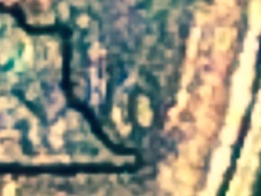 image.jpg