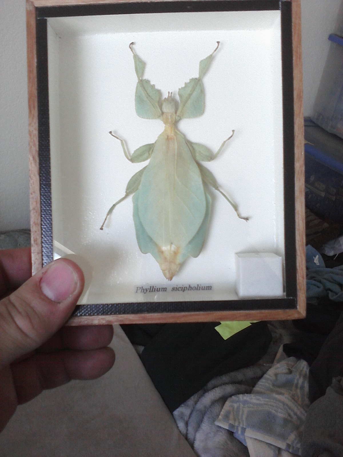 Image03182018114813.jpeg