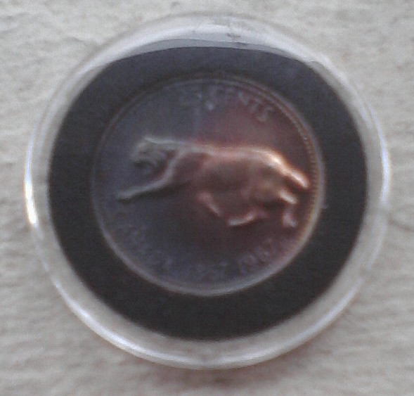 Image03312016160845.jpg