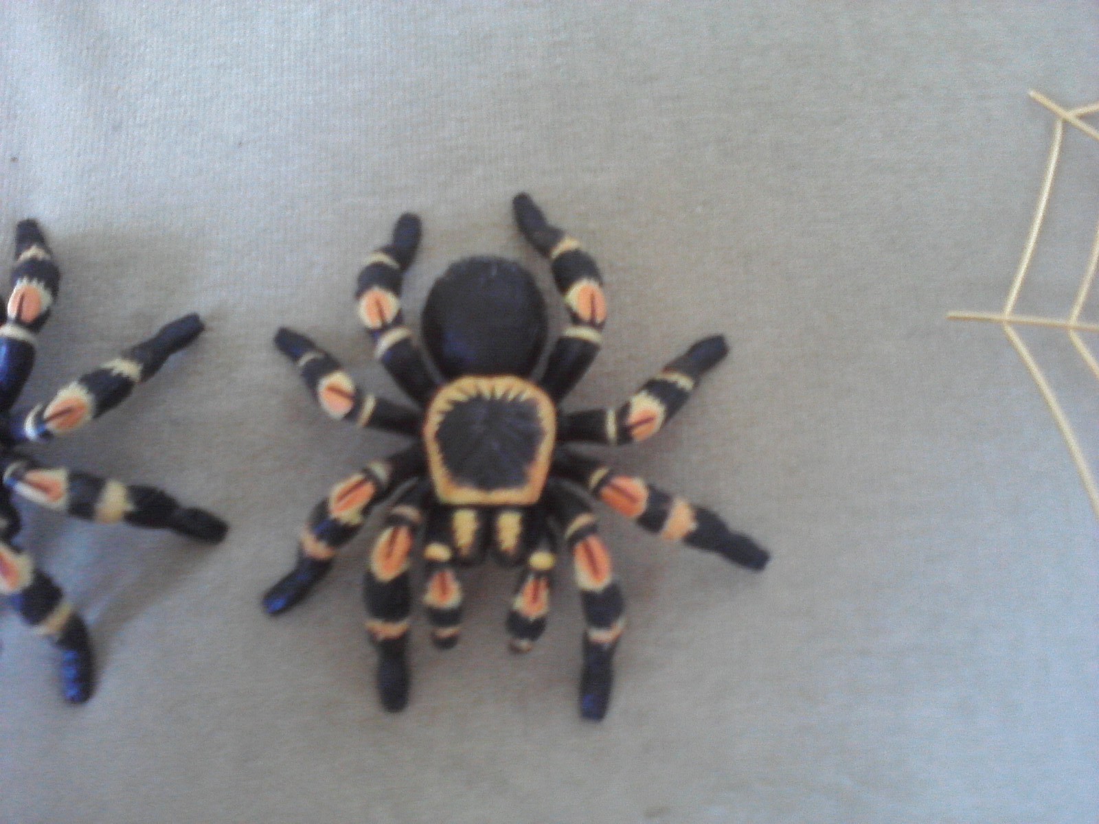 Image06122020132744.jpg