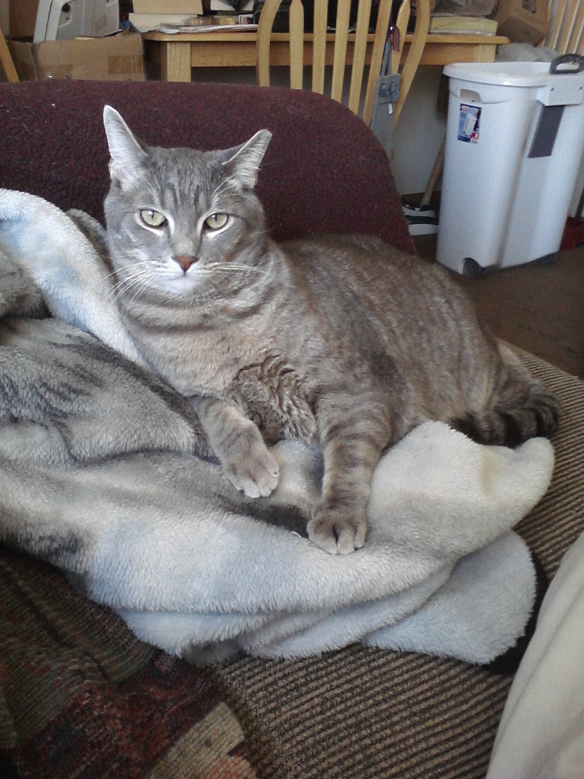 Image08162015145252.jpg