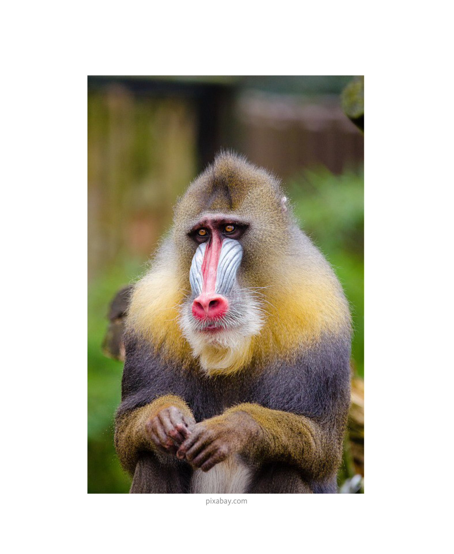 image1 (10).PNG