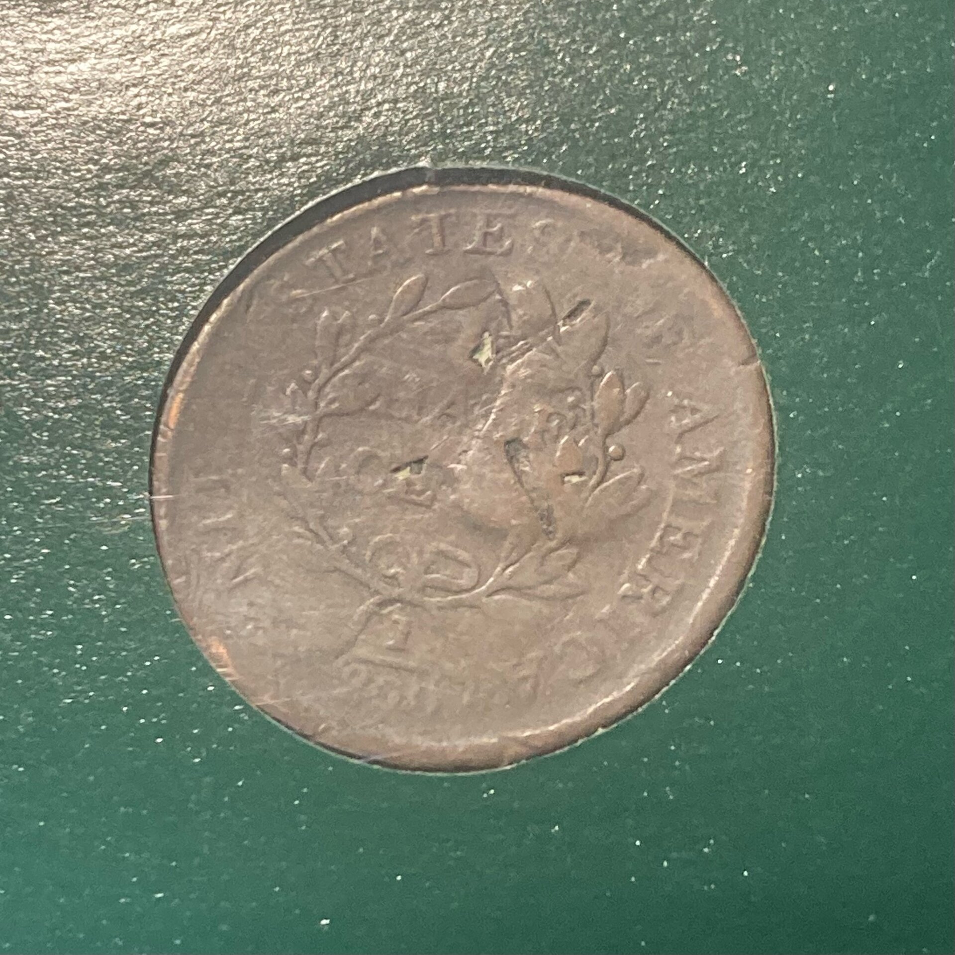 image1.jpeg