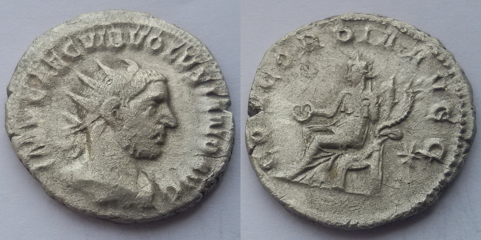 image1.jpg