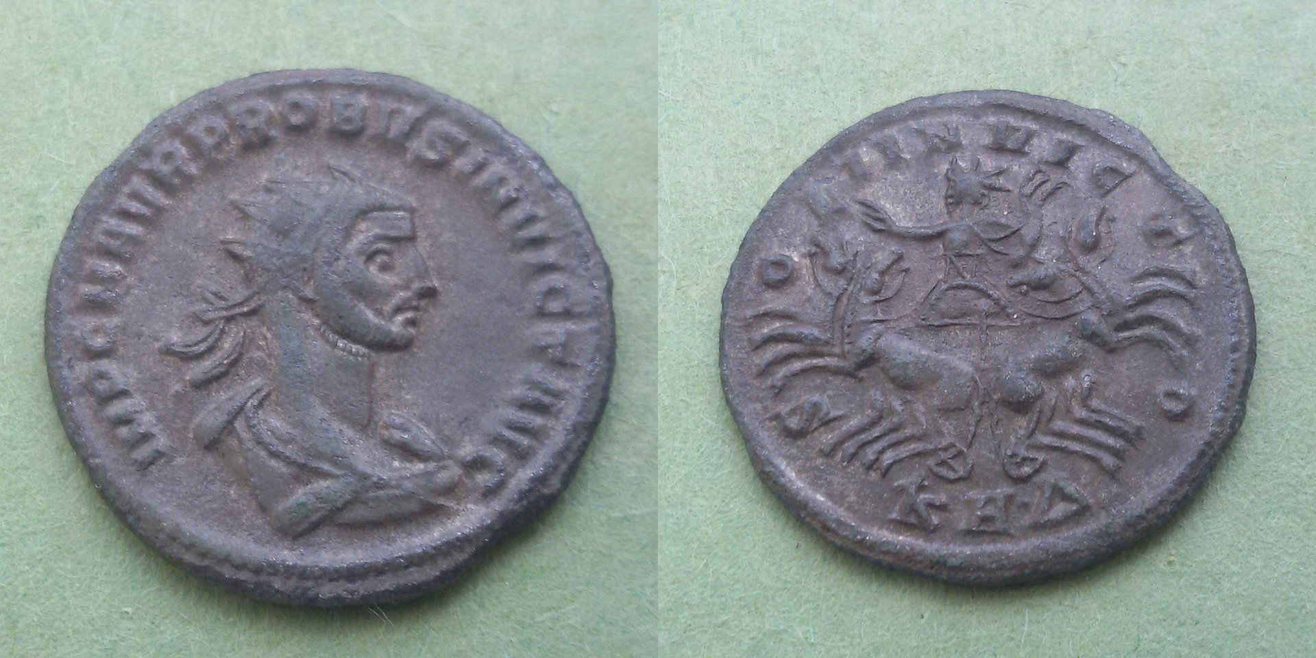 image1.jpg