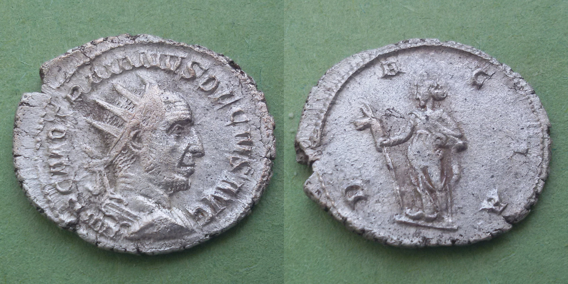 image1.jpg