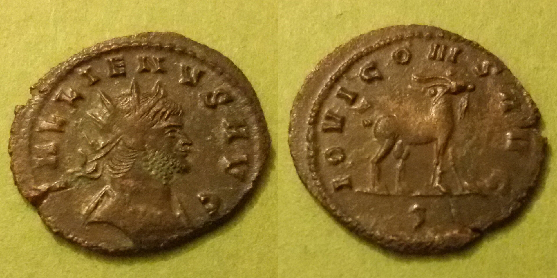 image1.jpg