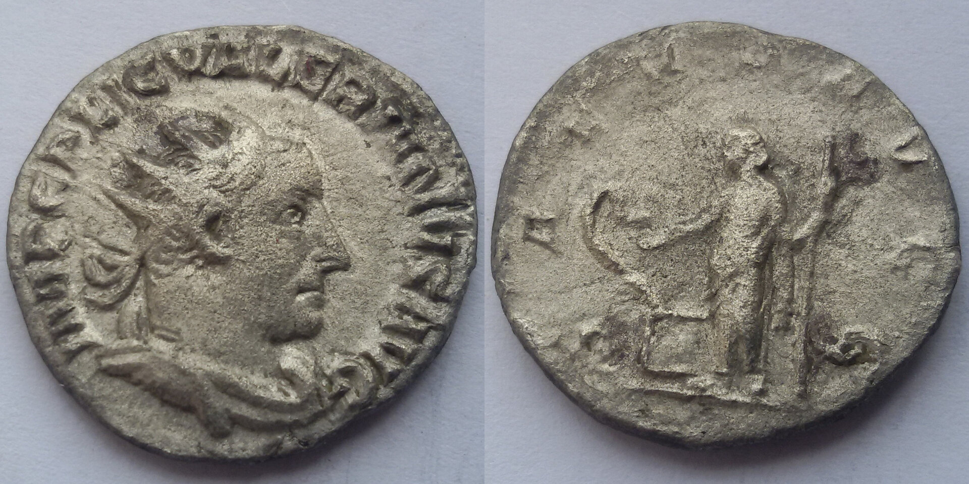 image1.jpg