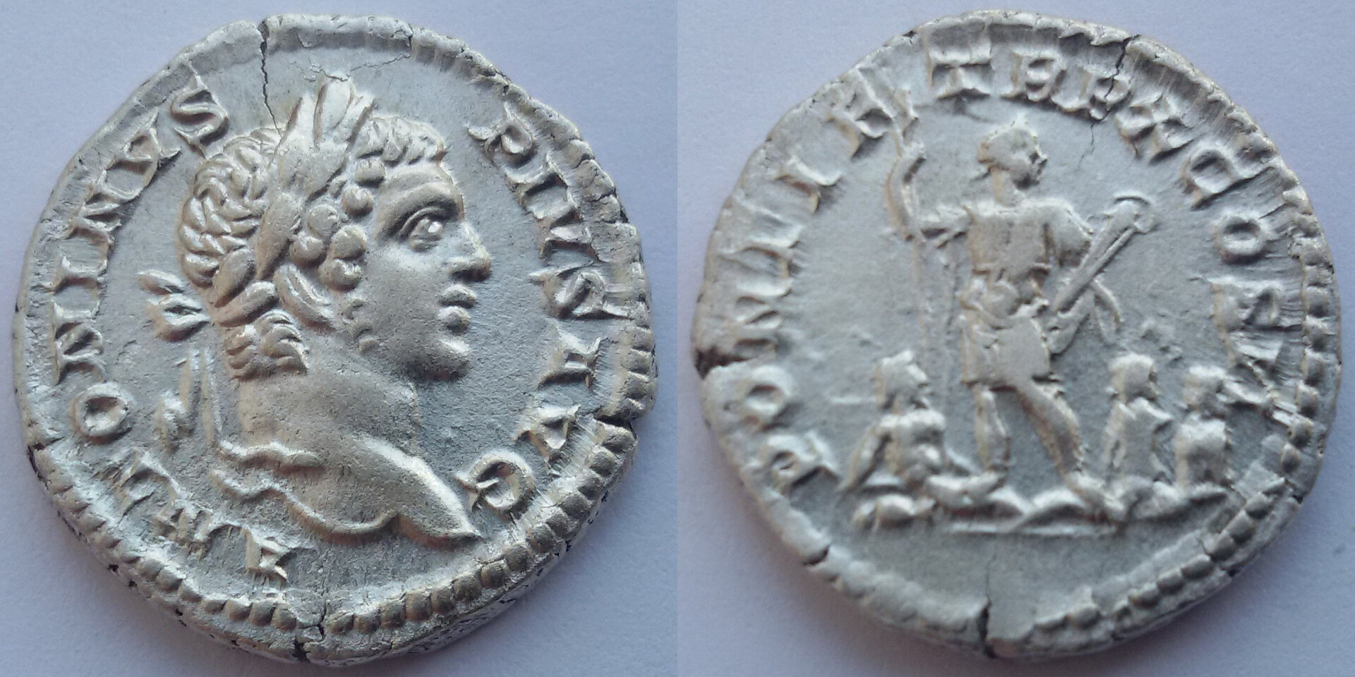 image1.jpg