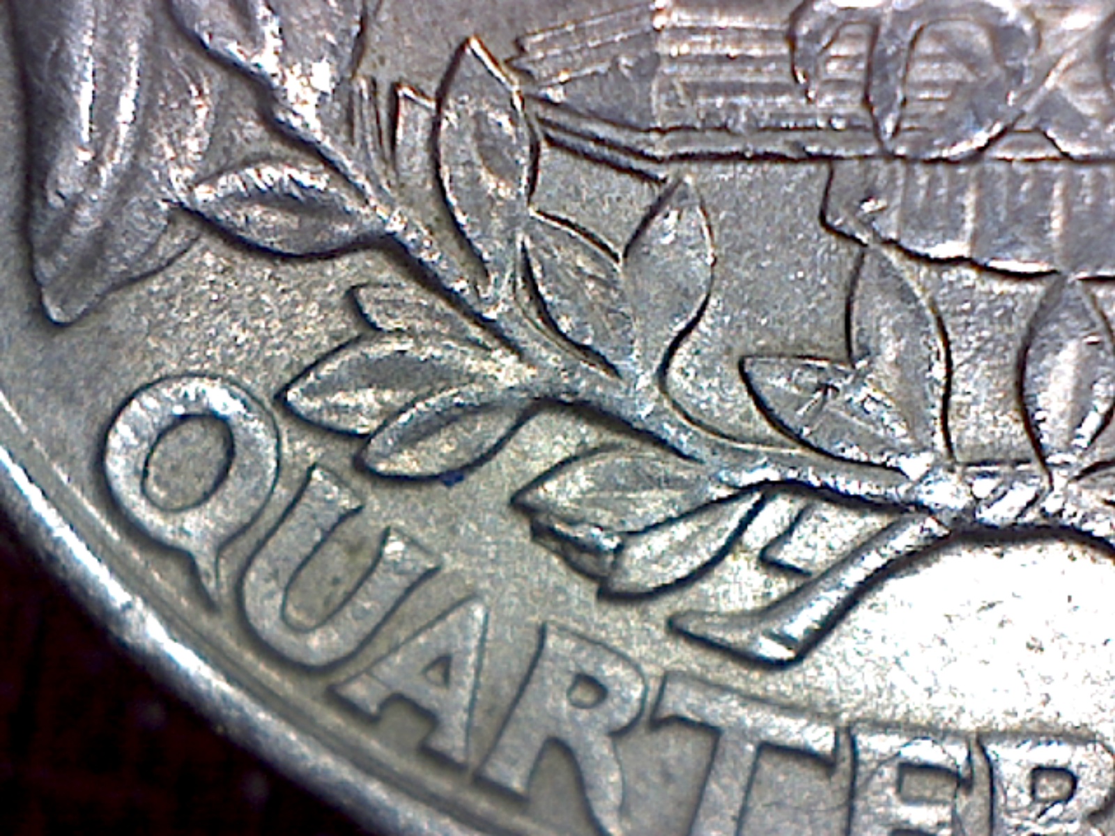 Image1.jpg