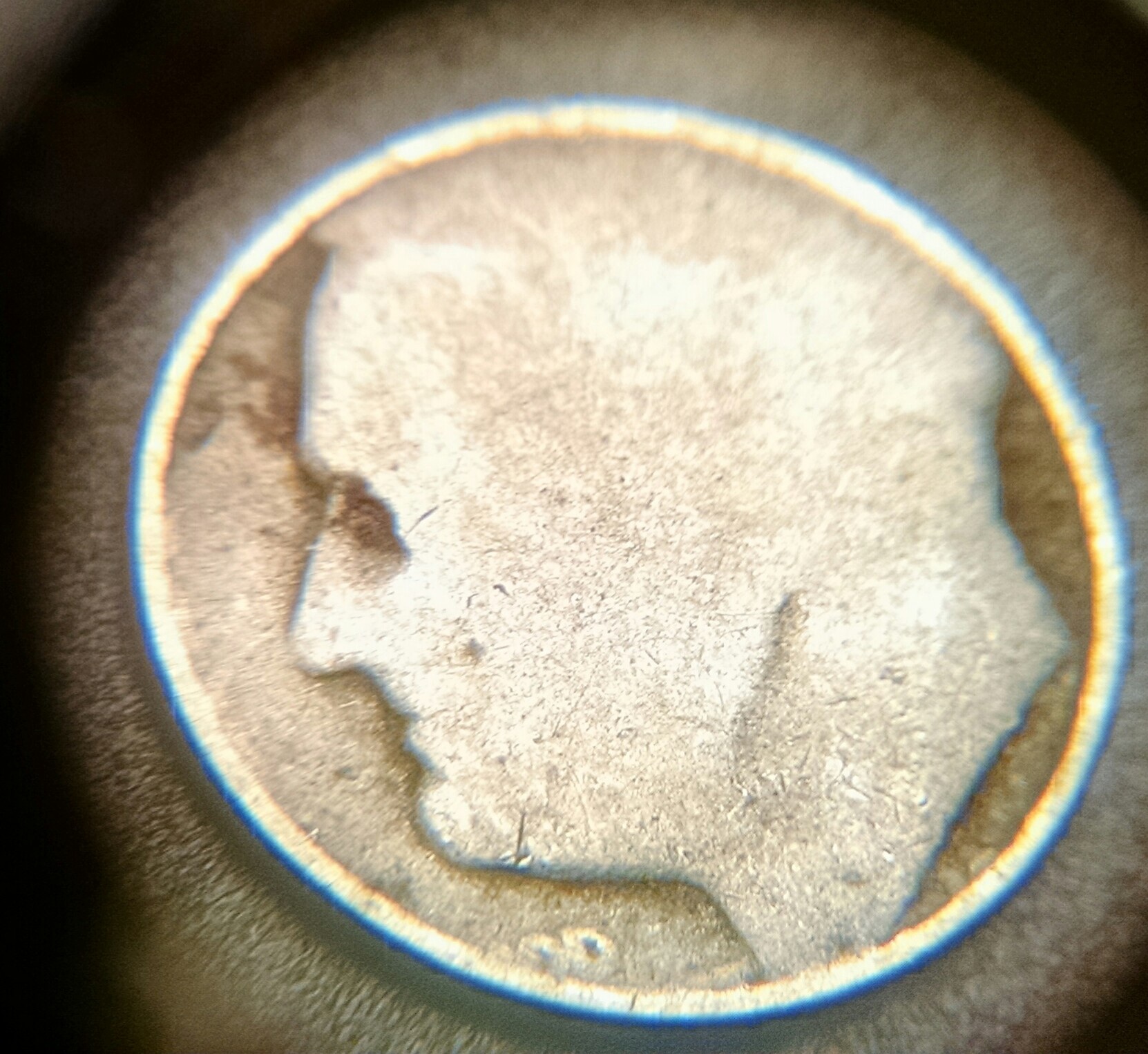 image1.jpg