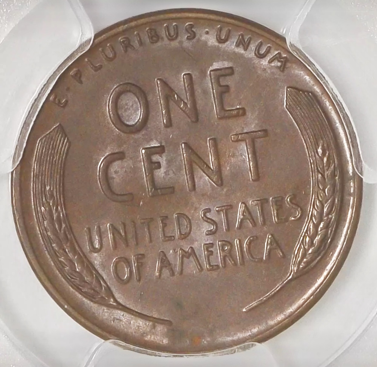 image1.JPG