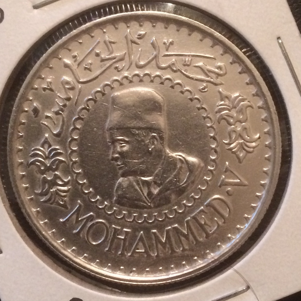 image1.jpg