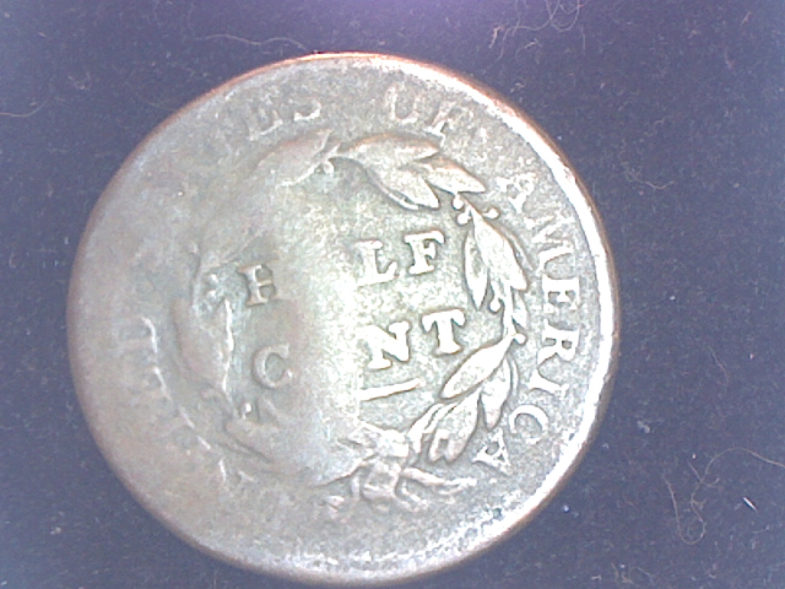 Image1.jpg