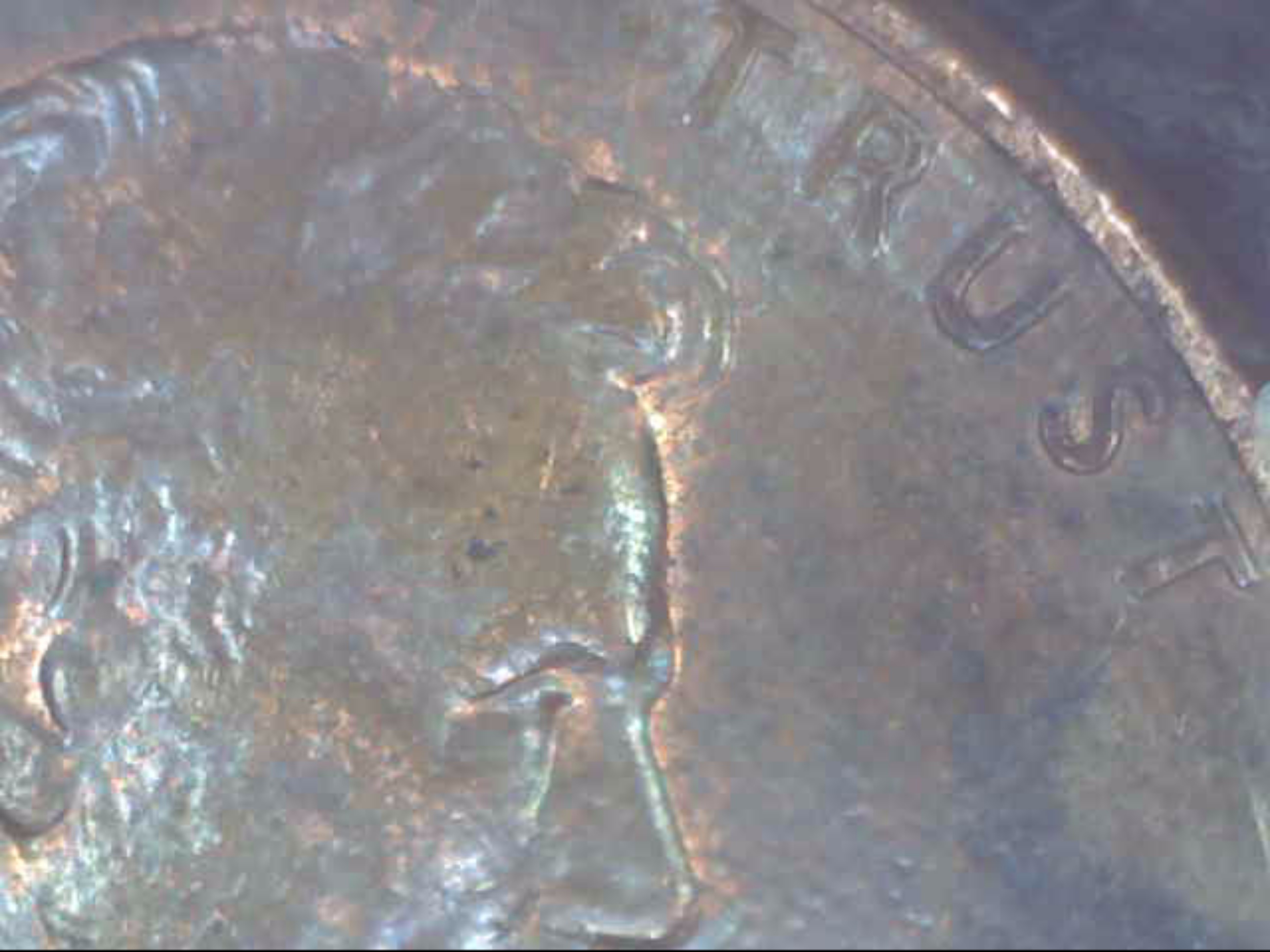 Image100.jpg