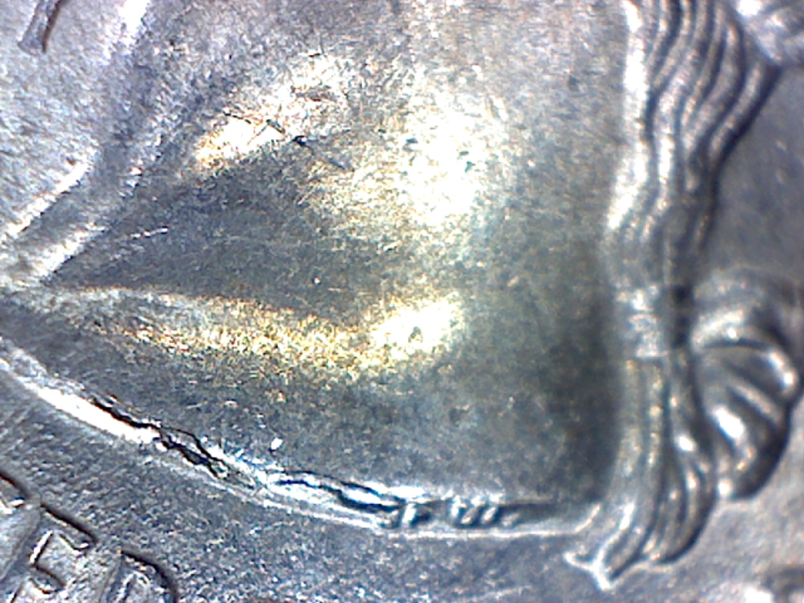 Image11.jpg