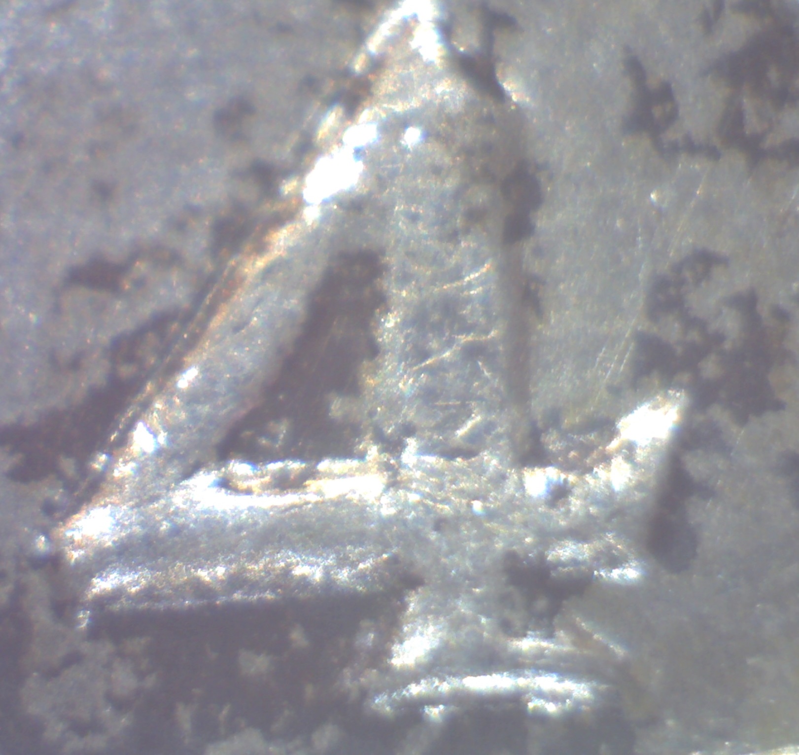 Image1138.jpg