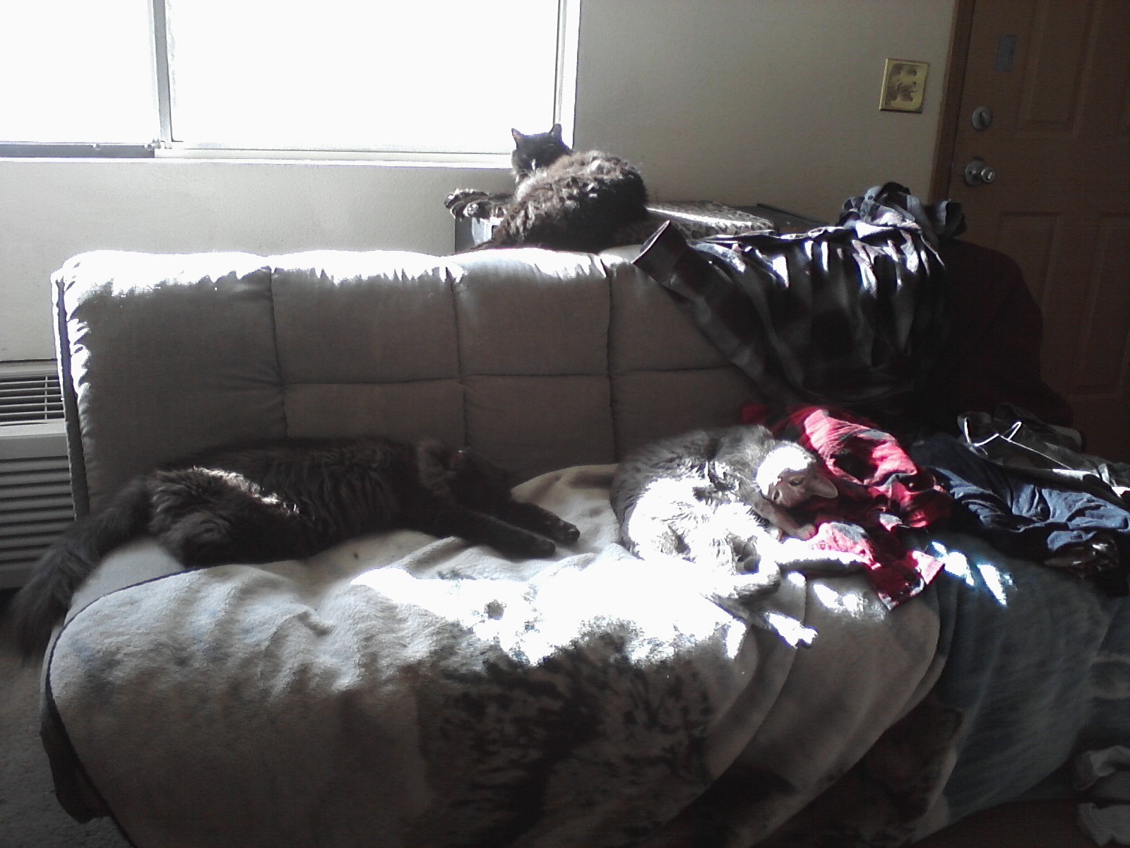 Image12192020112021.jpg