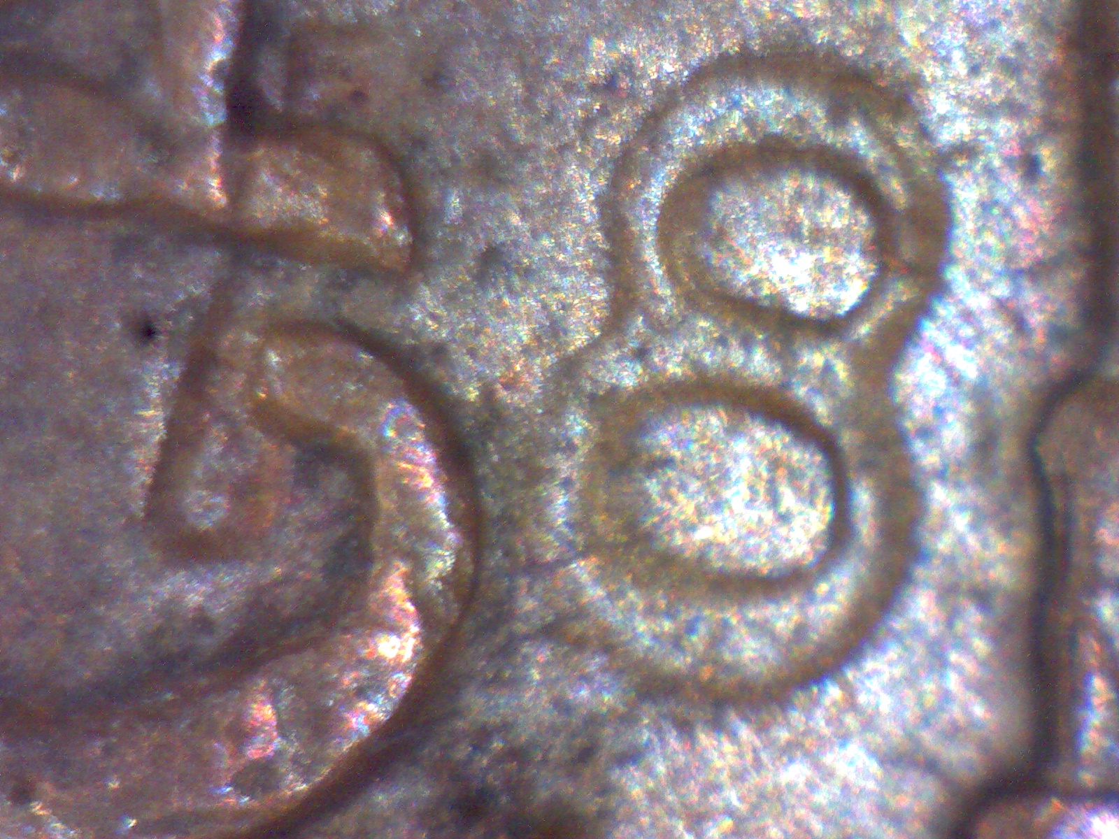 Image130.jpg