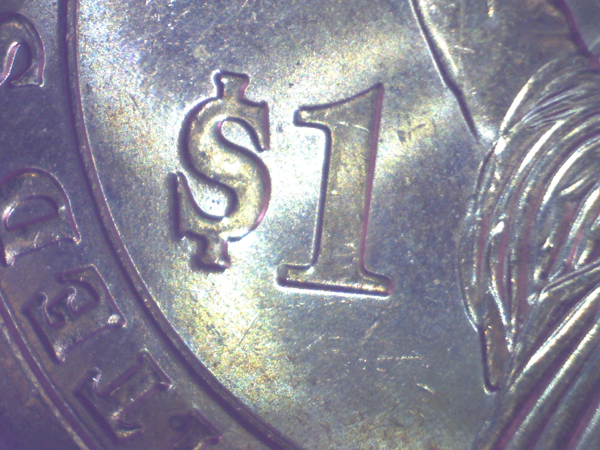 Image1373.jpg