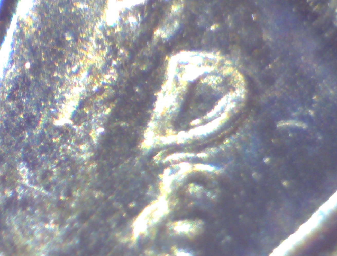 Image1385.jpg