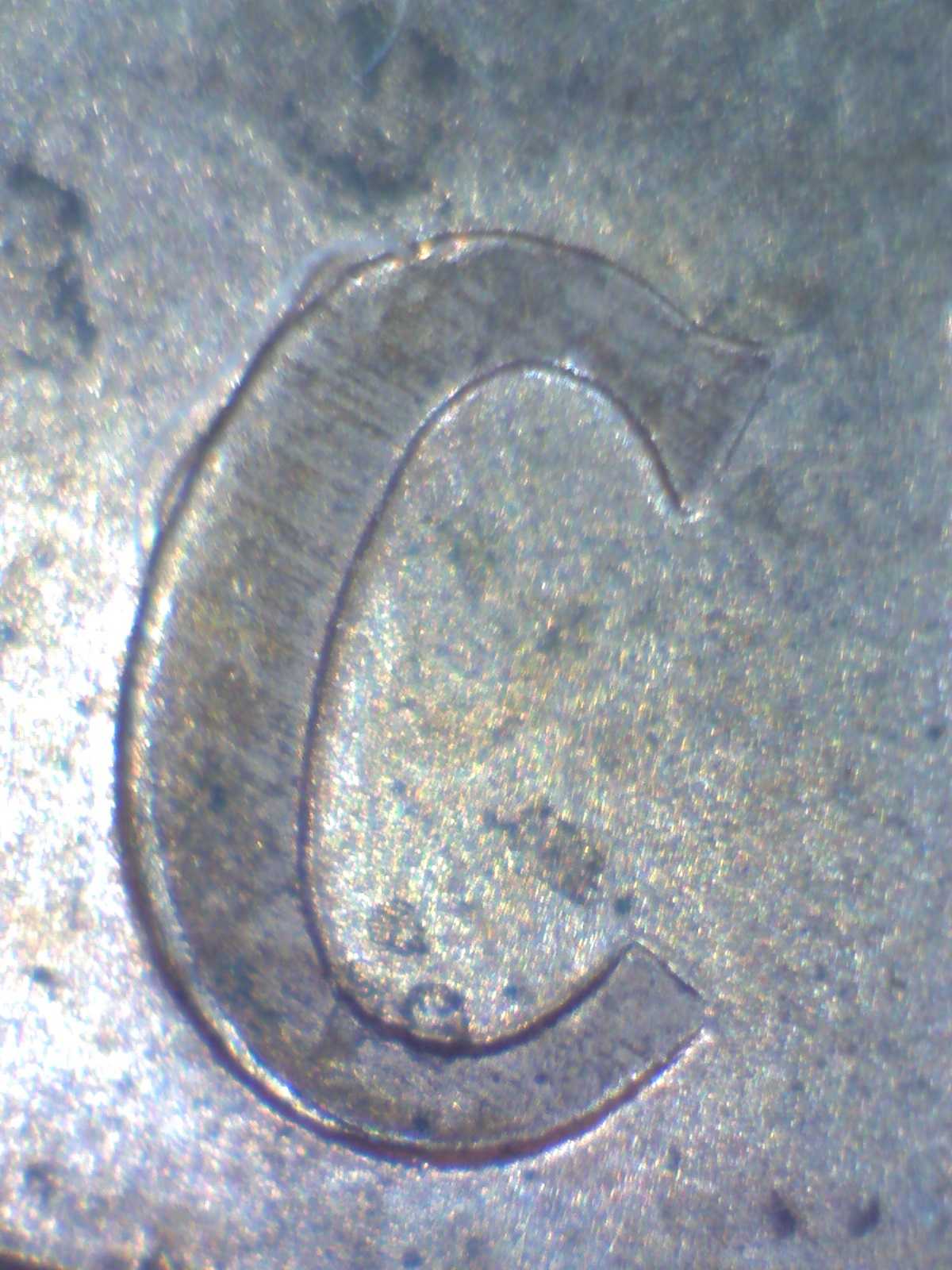 Image145.jpg