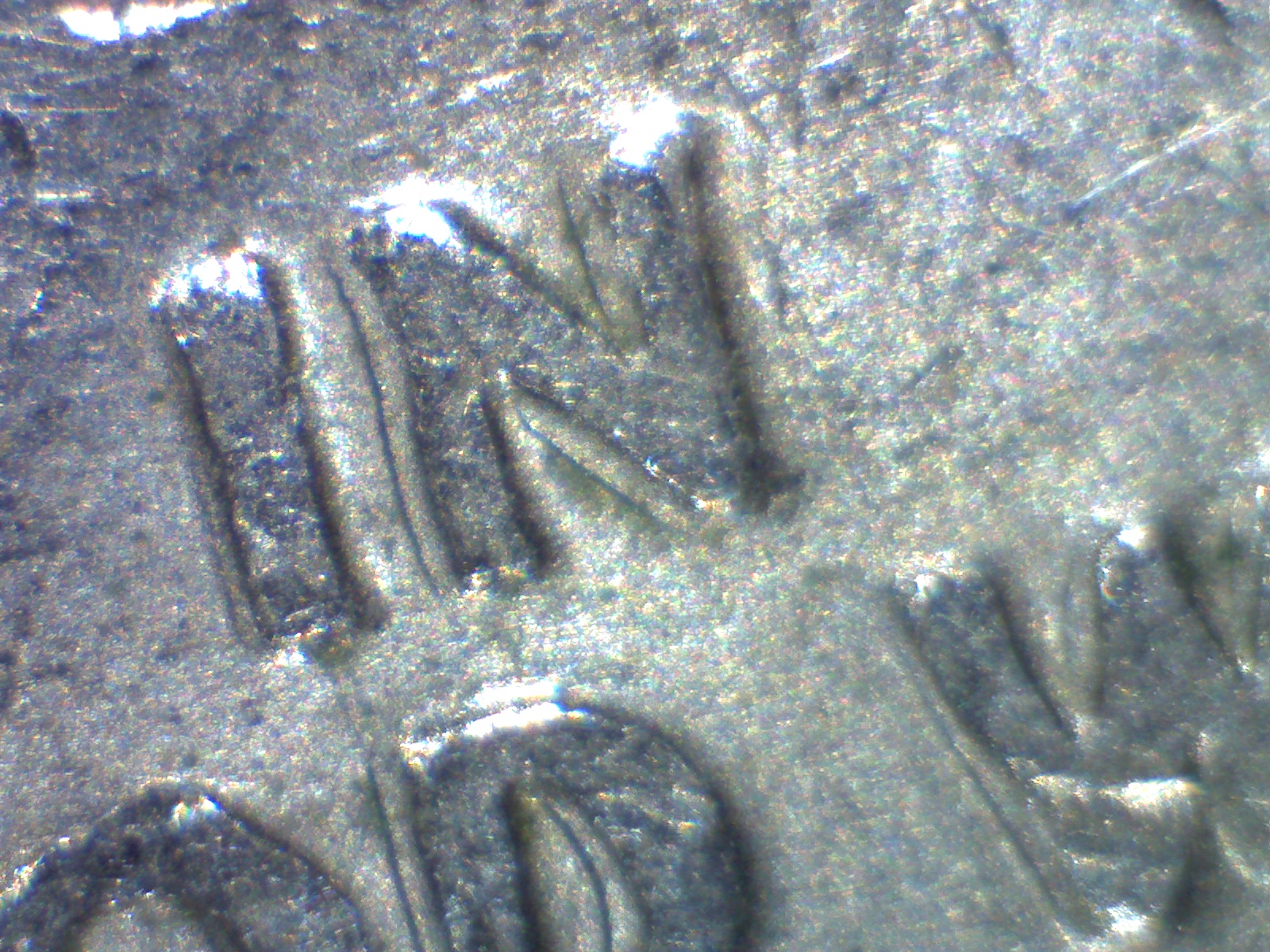 Image1601.jpg