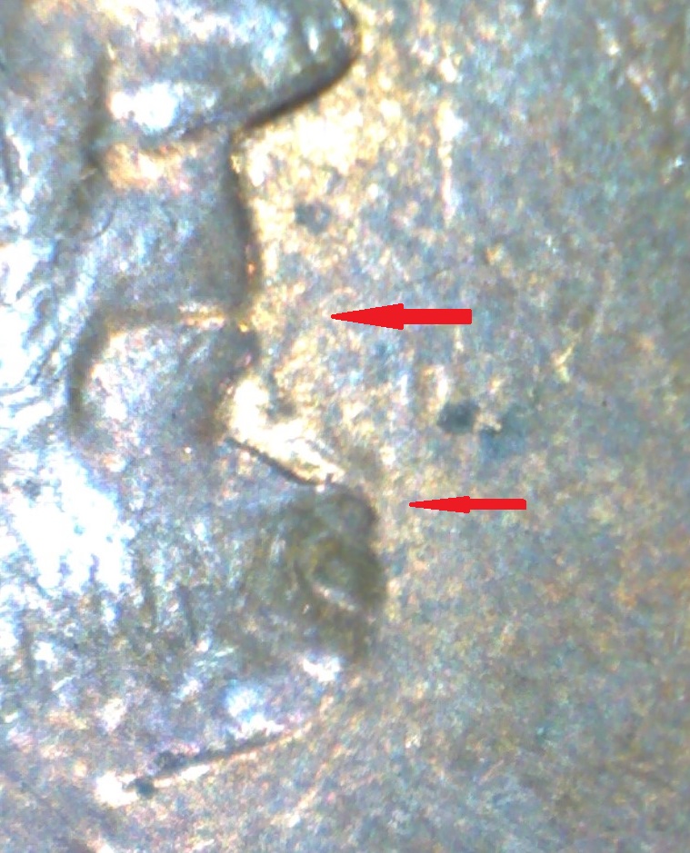 Image181.jpg