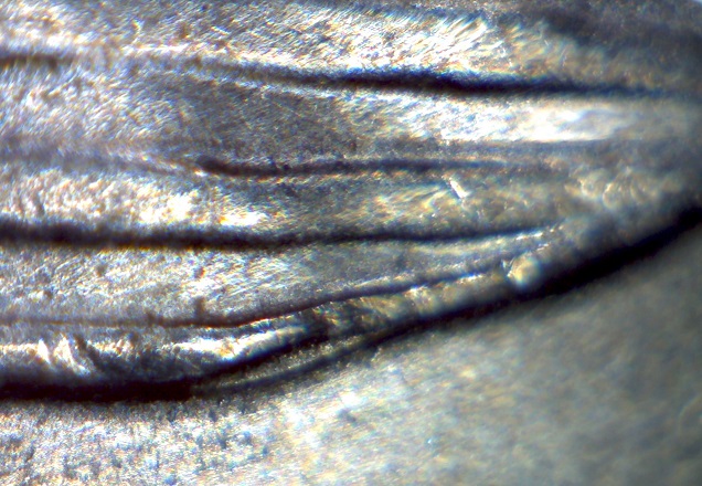 Image1814.jpg