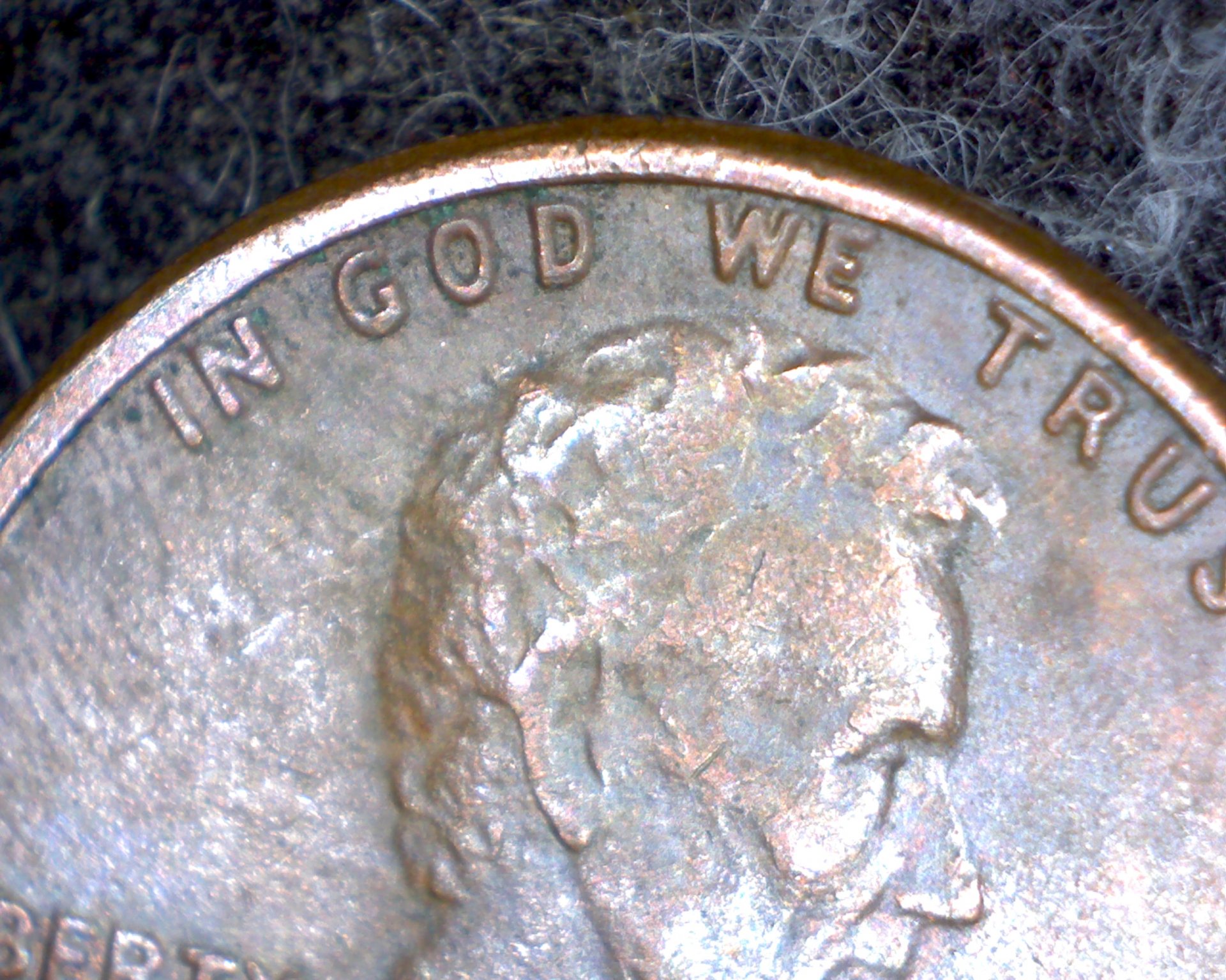 Image18489.jpg