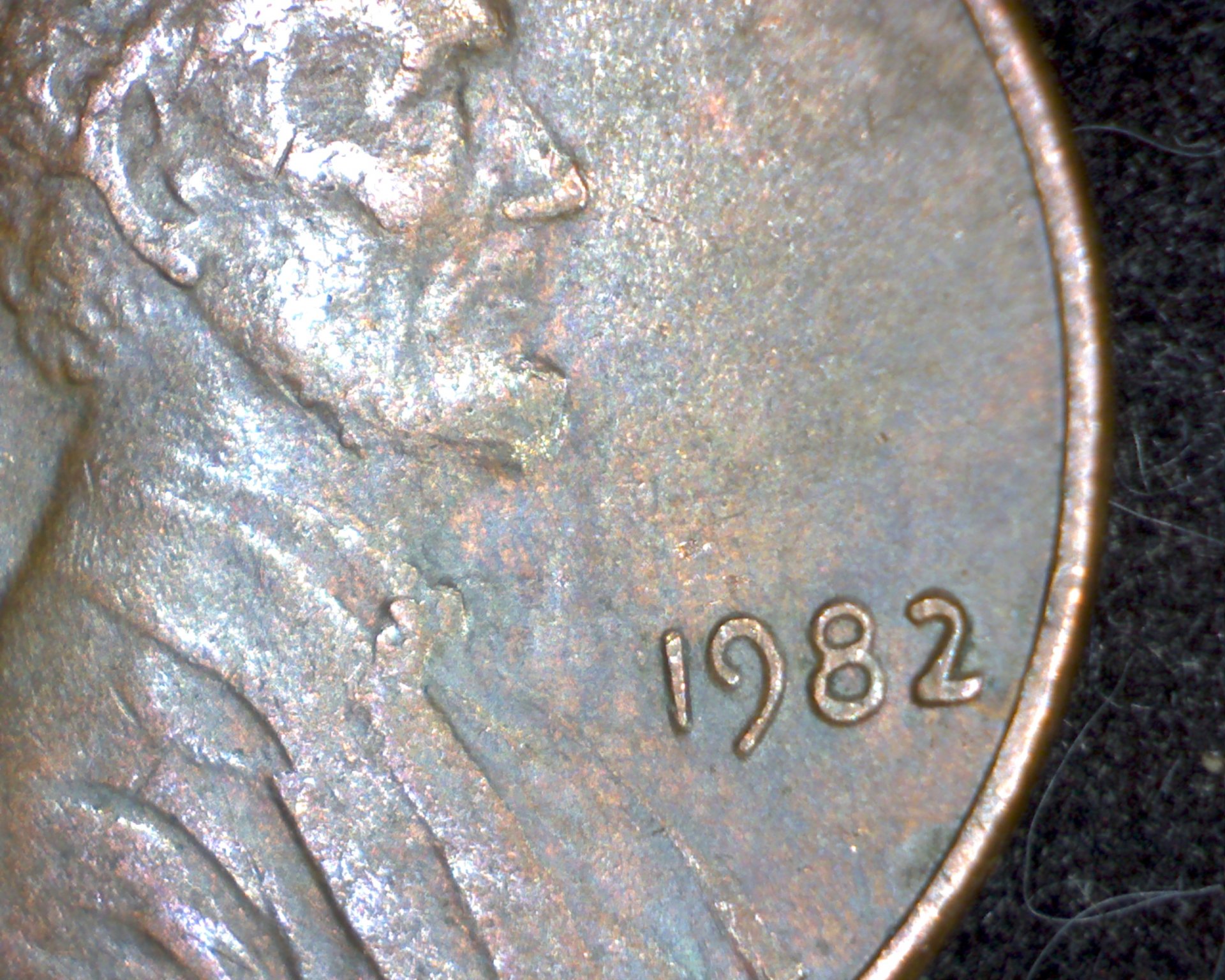 Image18491.jpg