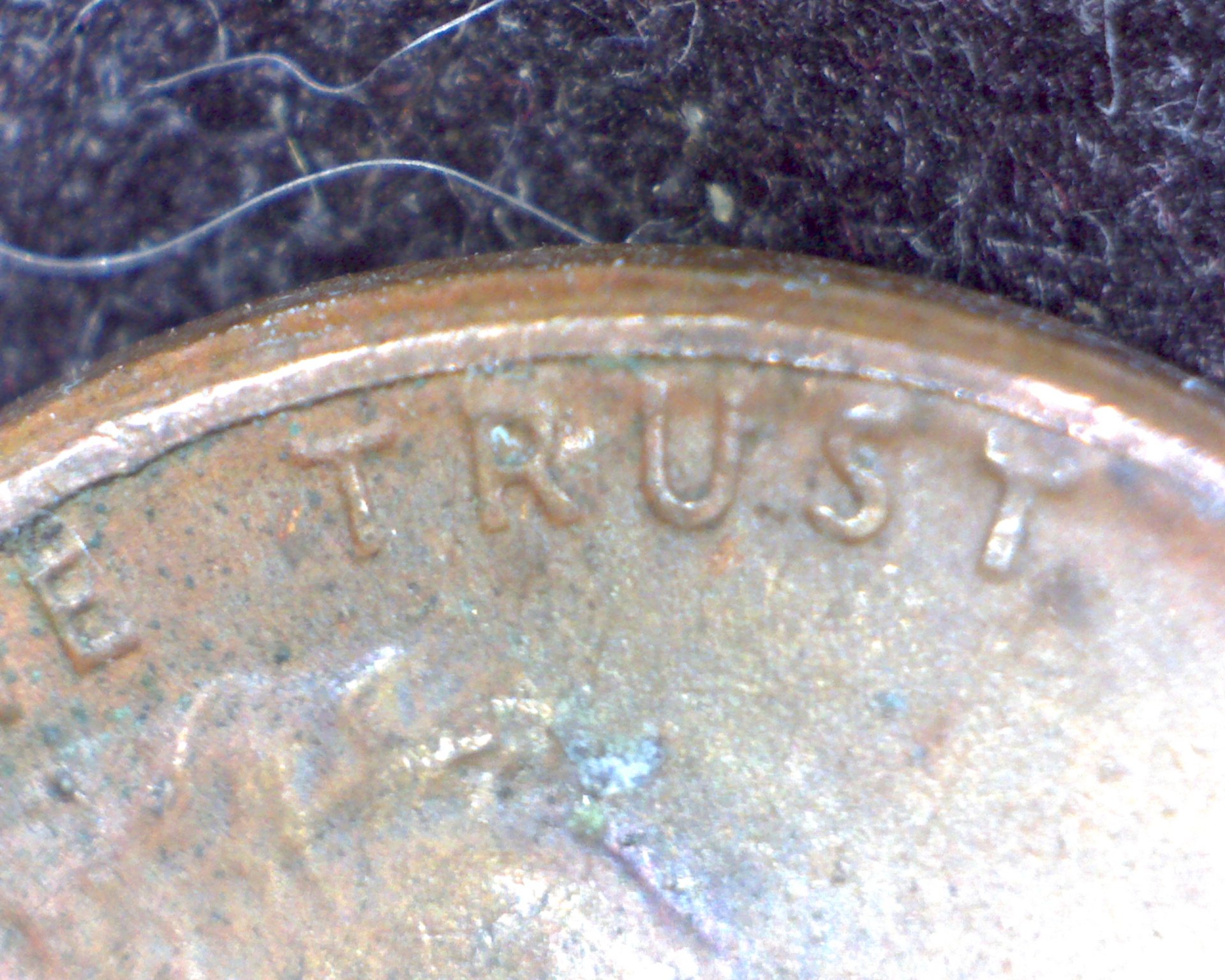 Image18500.jpg