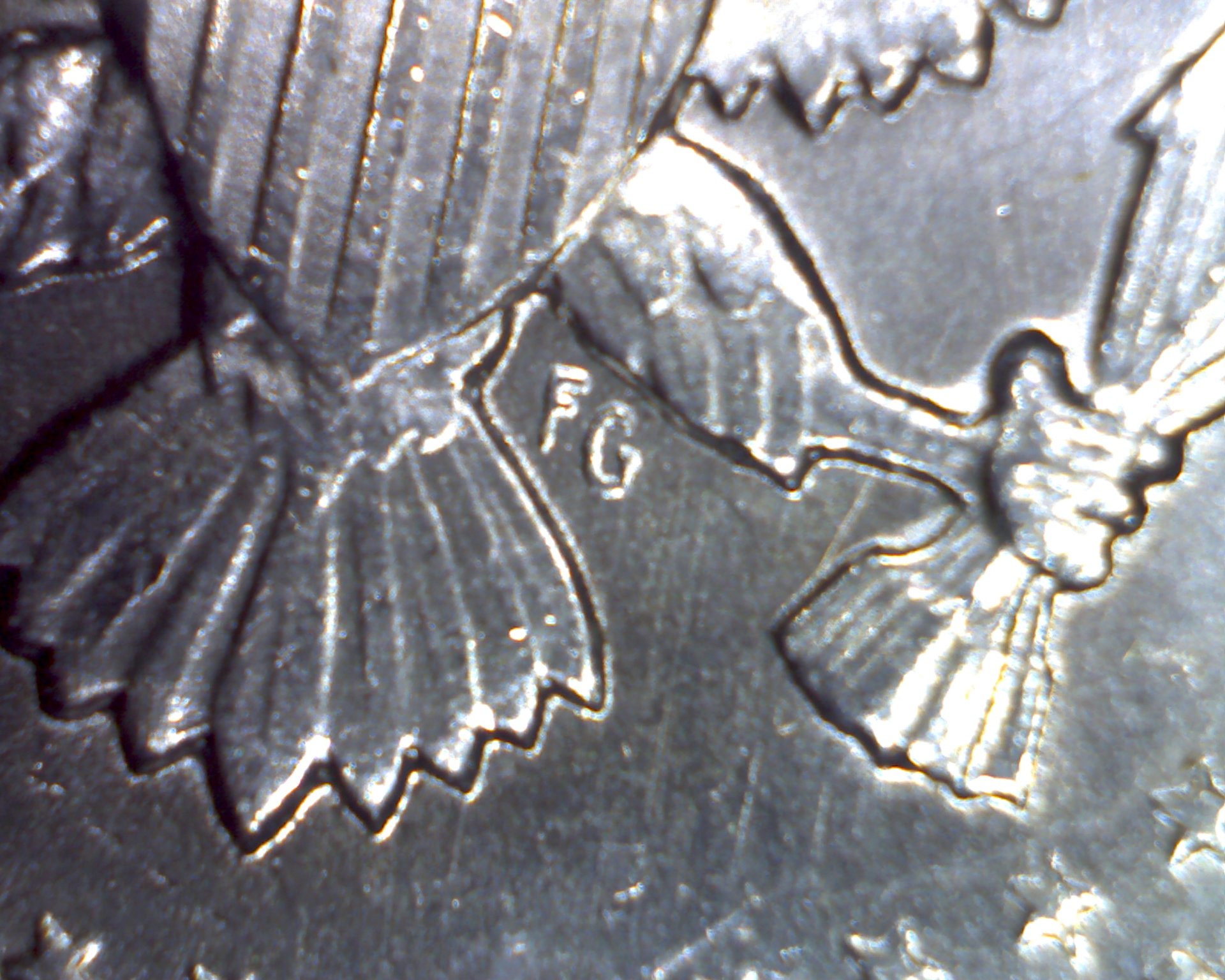 Image1851.jpg