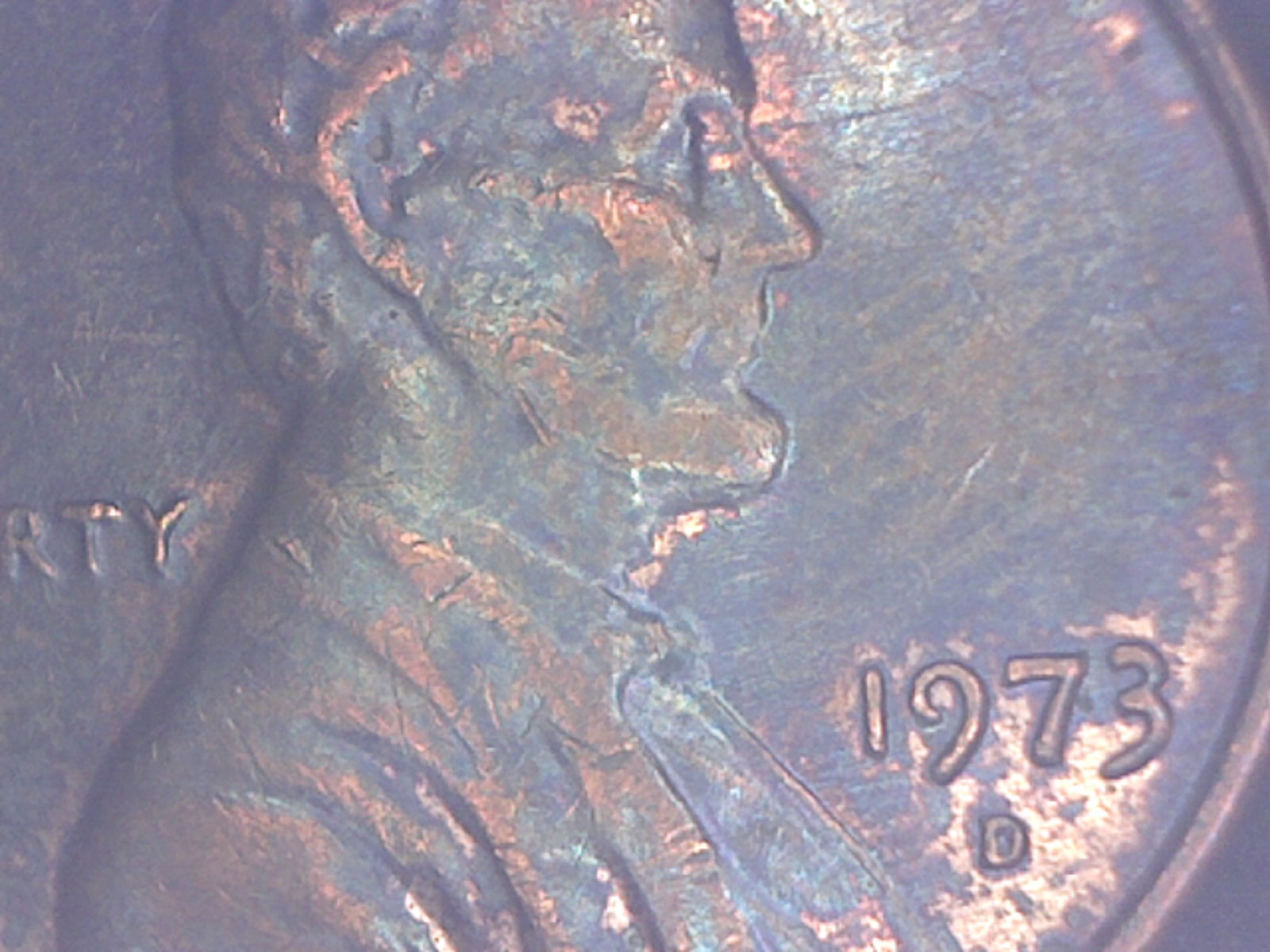 Image1889.jpg
