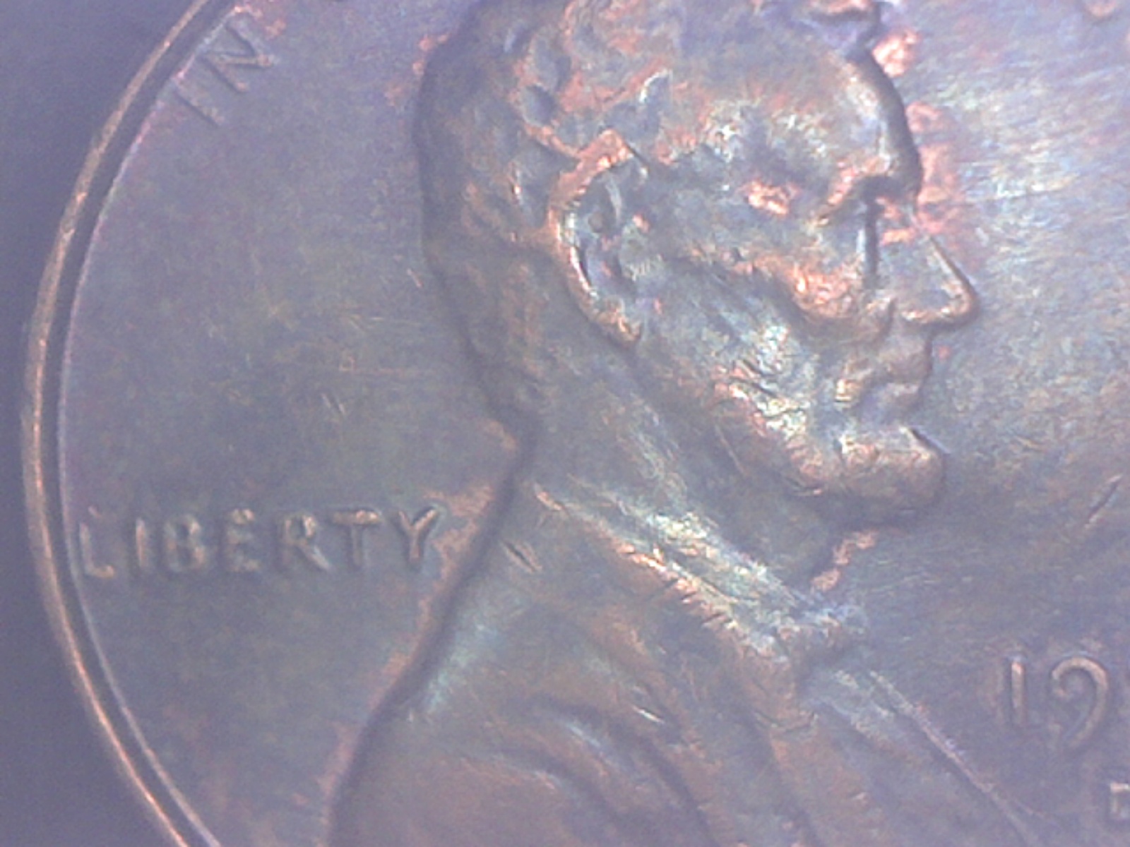 Image1890.jpg