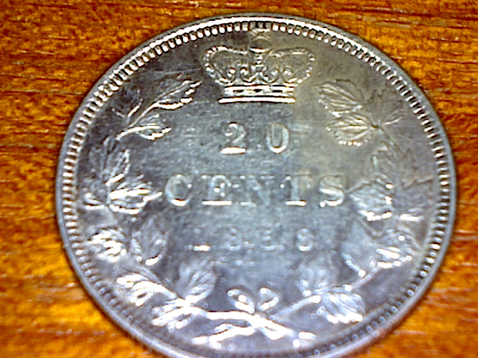 Image19.jpg
