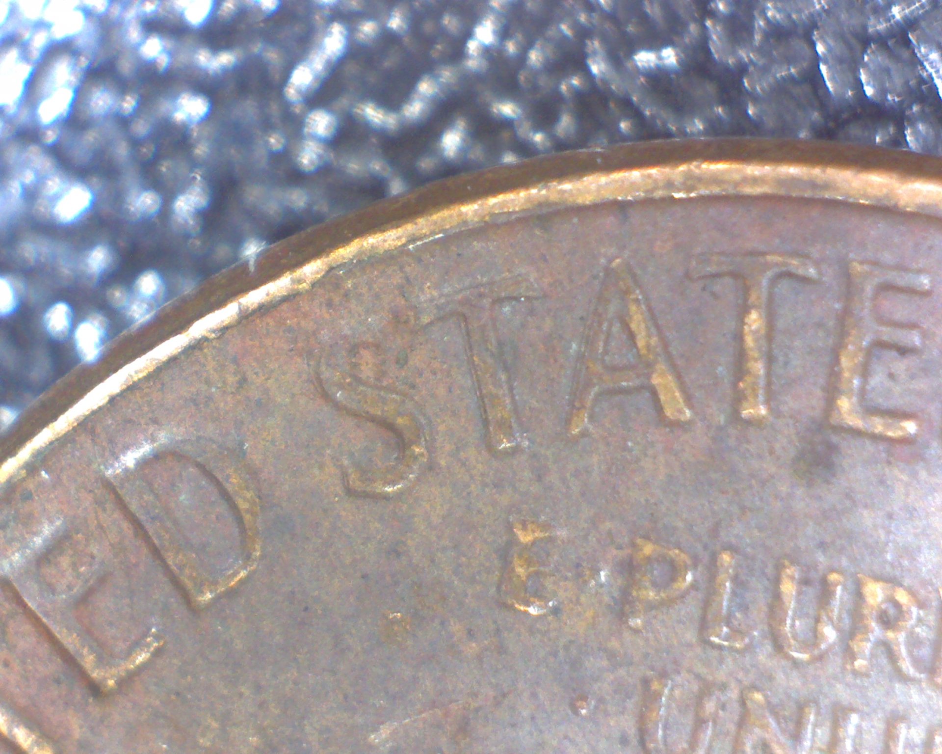 Image19121.jpg
