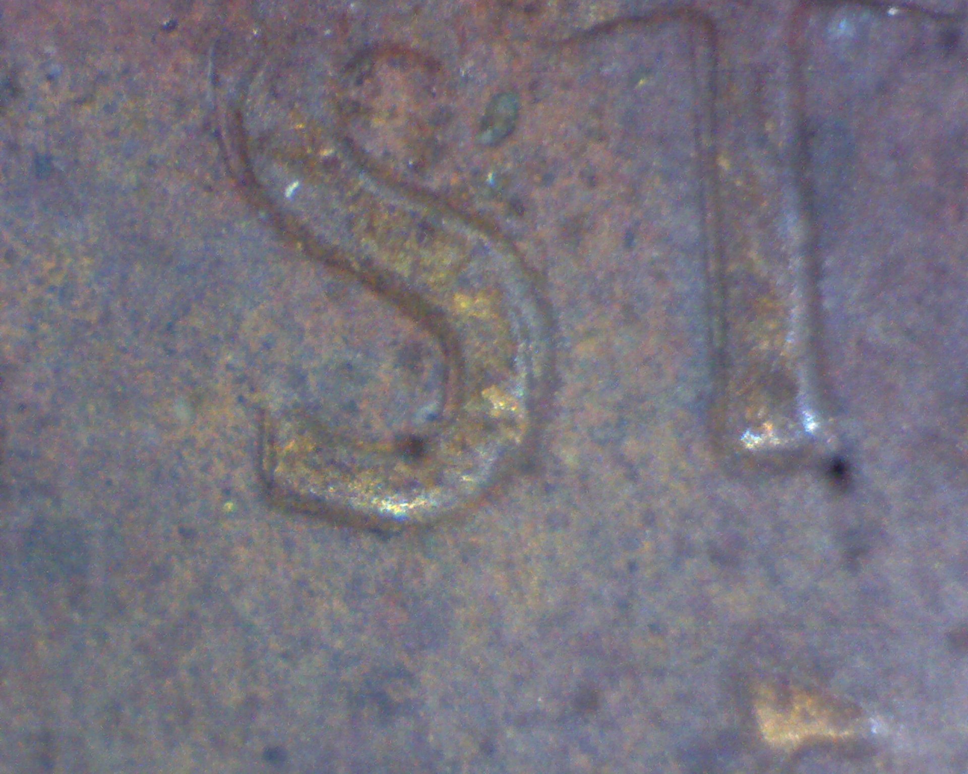 Image19126.jpg