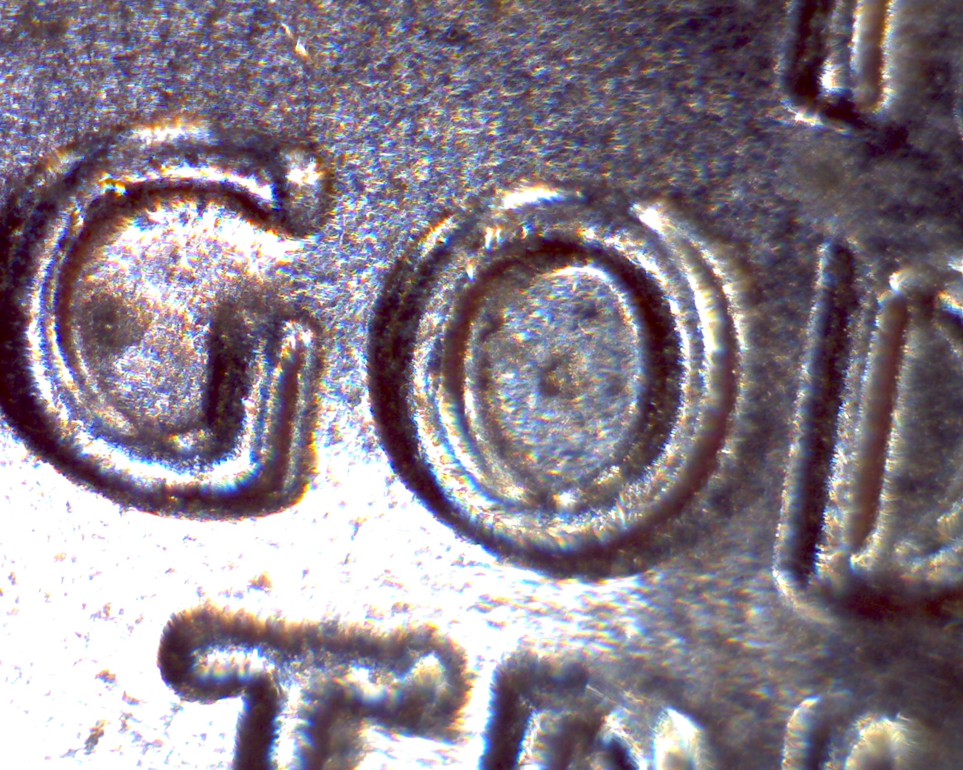 Image1946.jpg