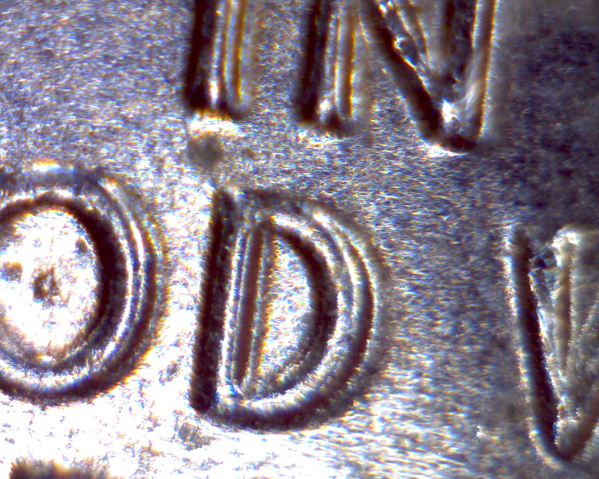 Image1947.jpg