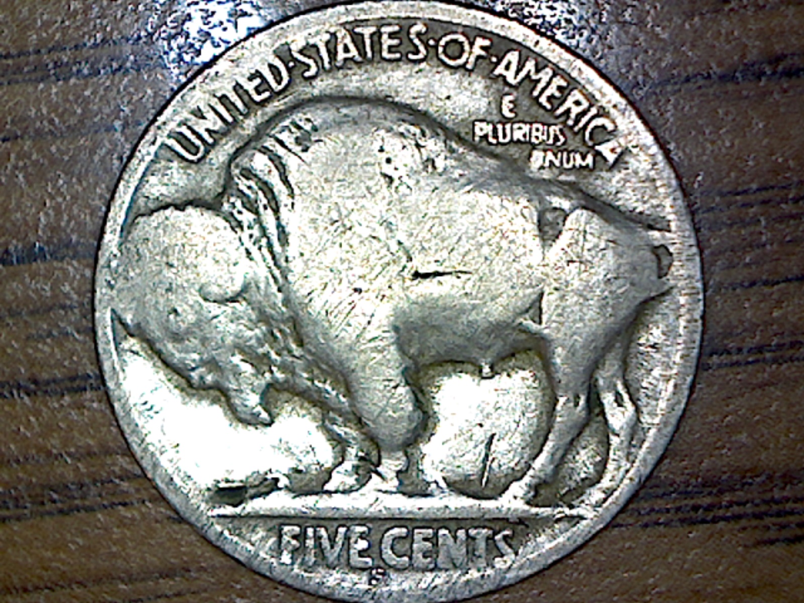 Image198.jpg