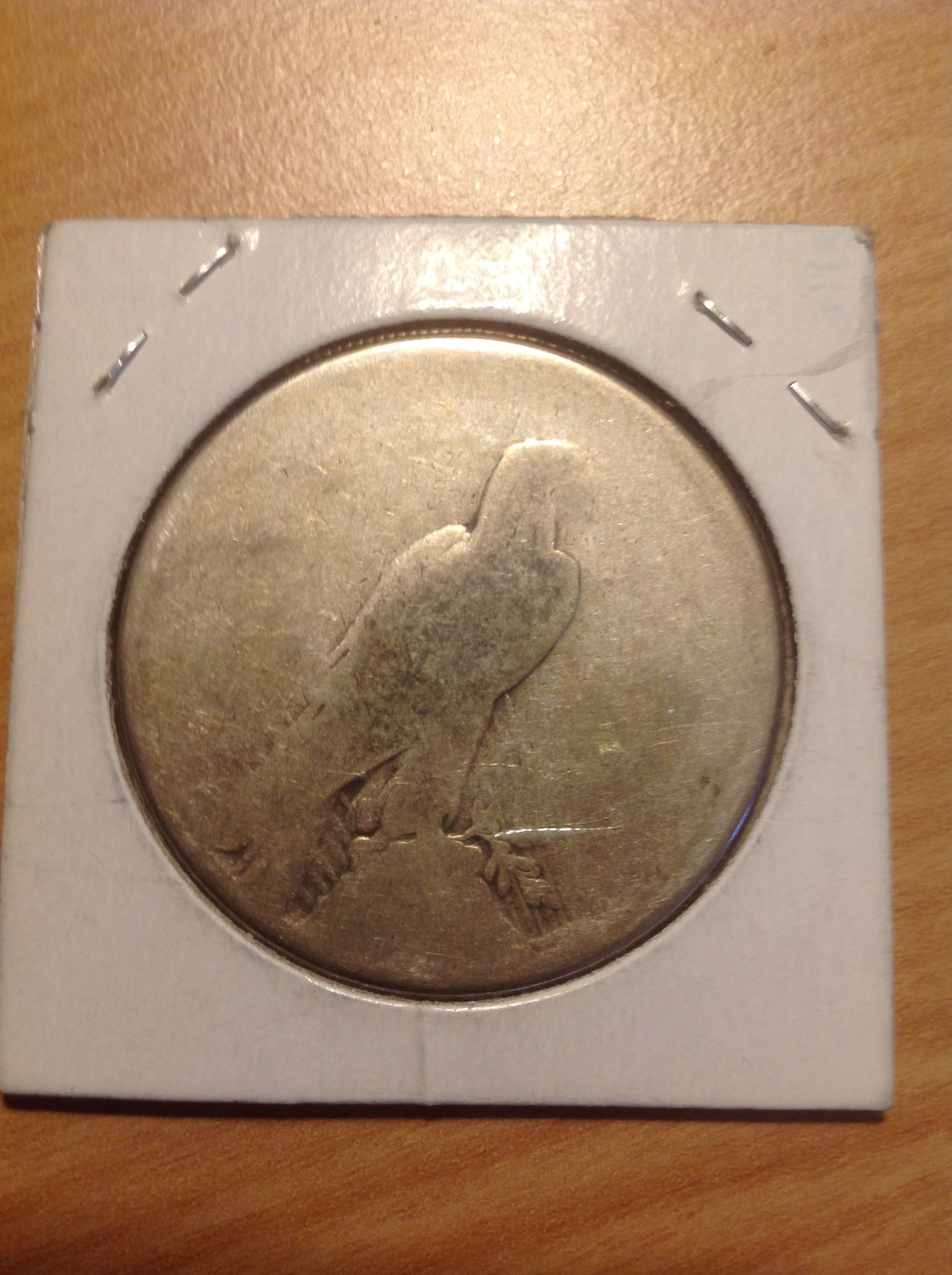 image2 (1).JPG