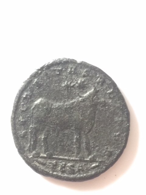 image2.jpeg