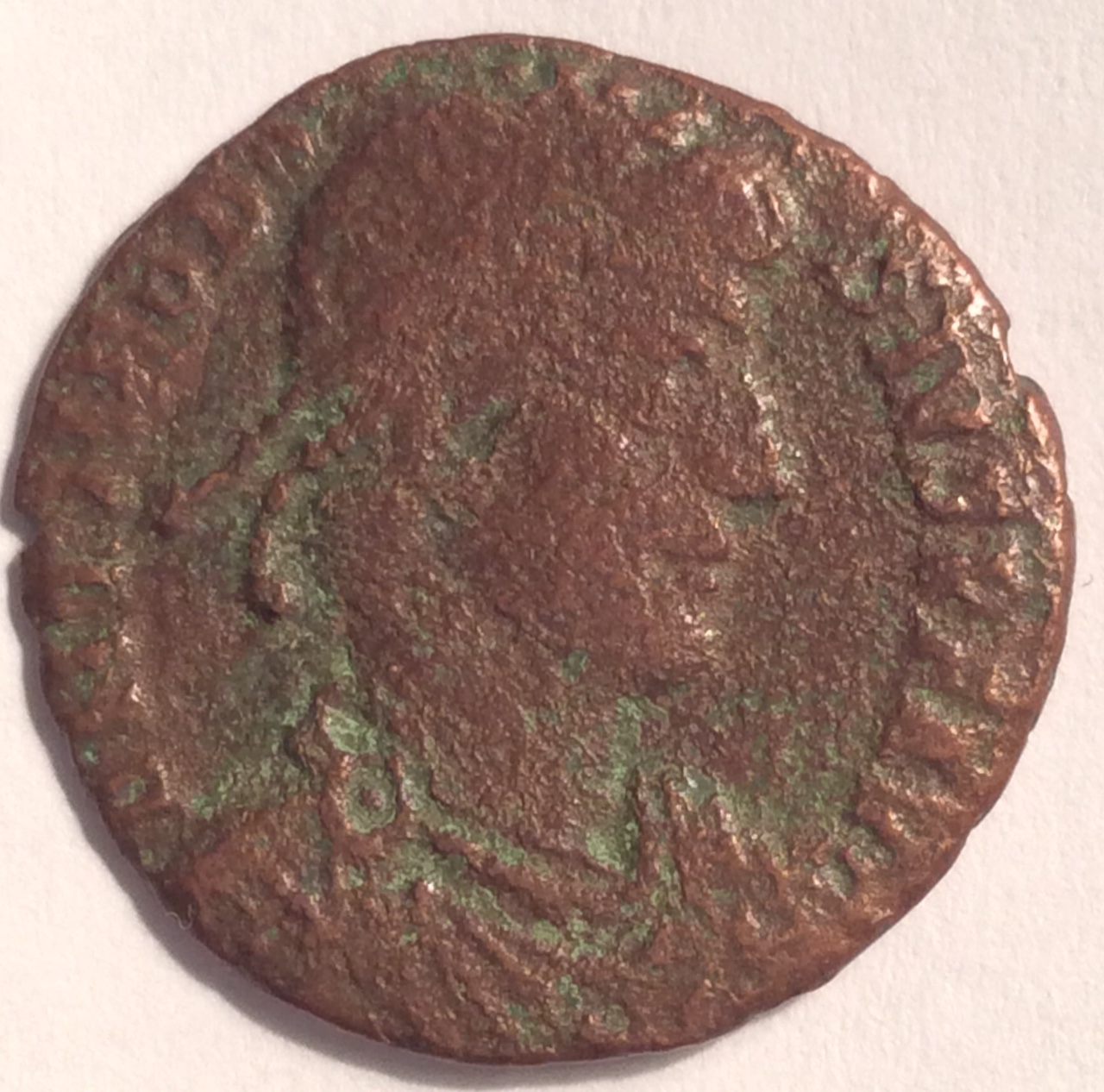 image2.JPG