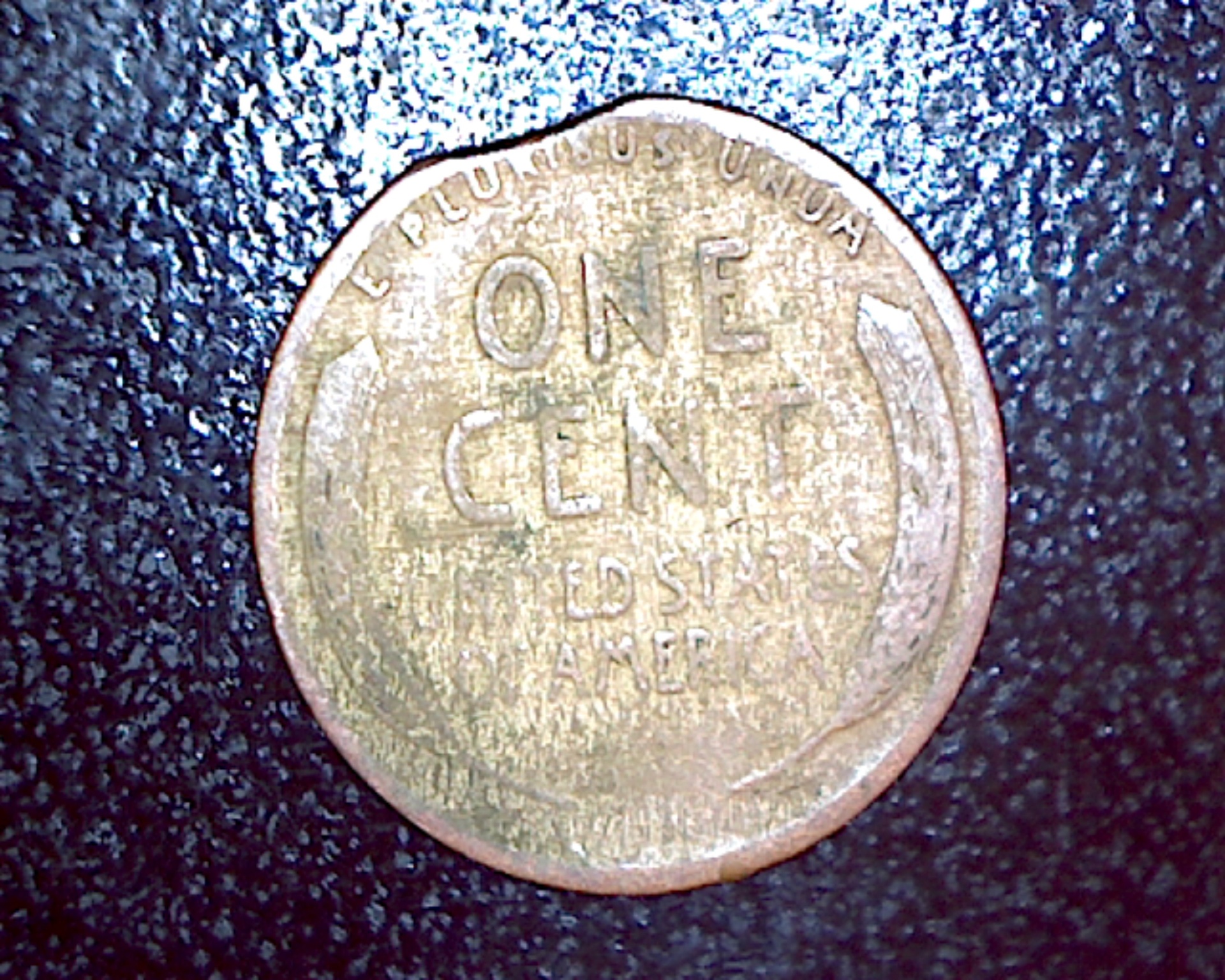 Image200.jpg
