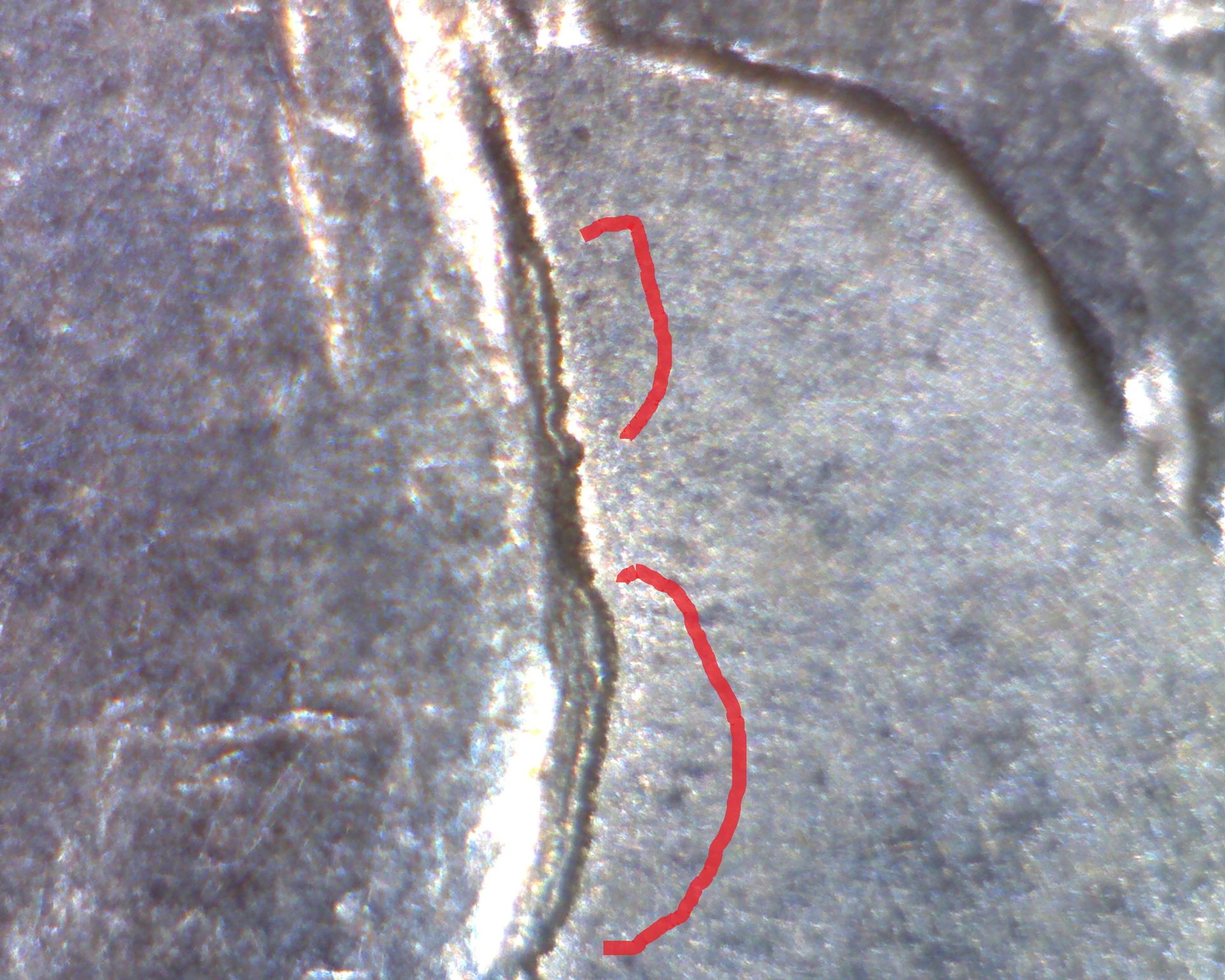 Image2030.jpg