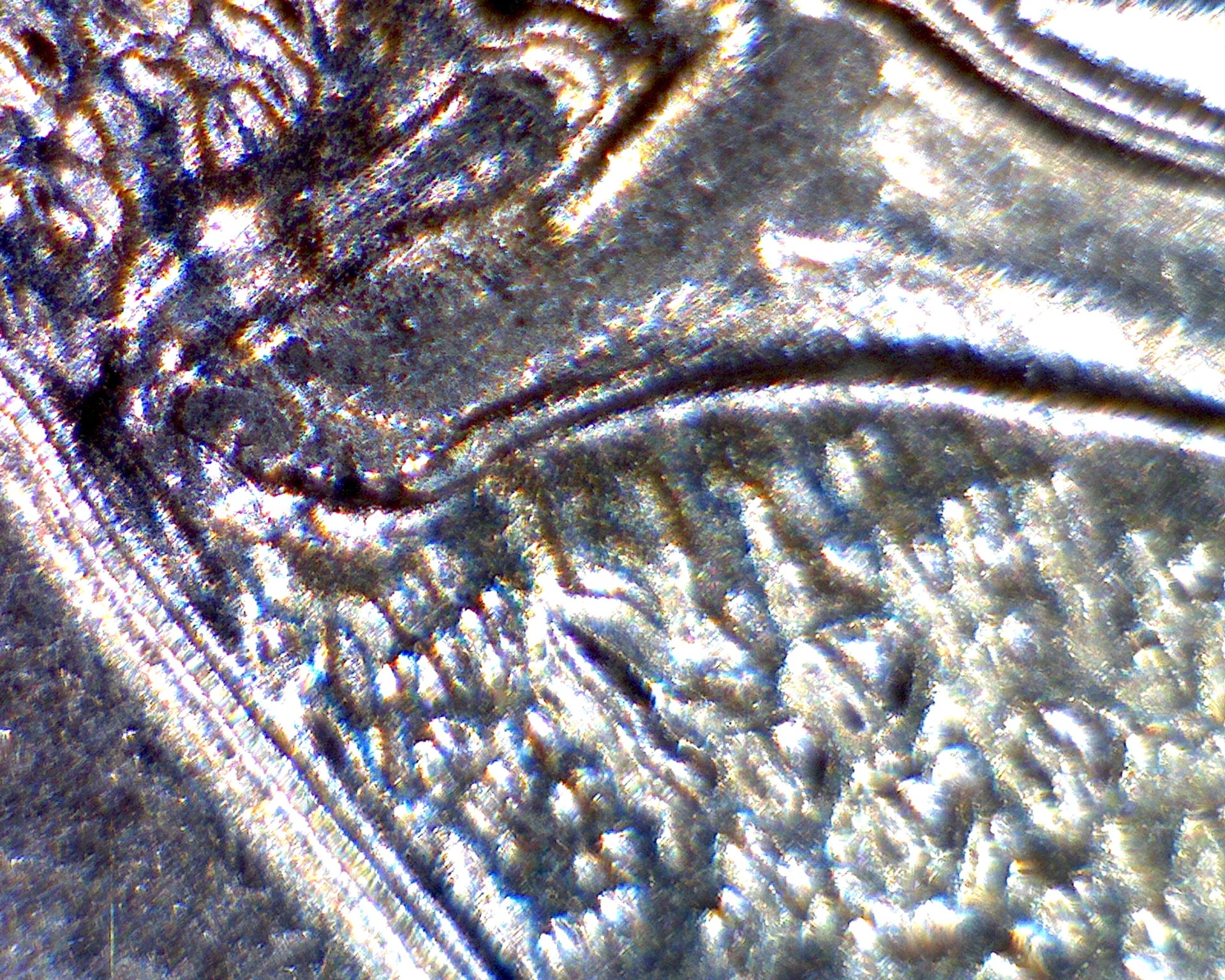 Image2035.jpg